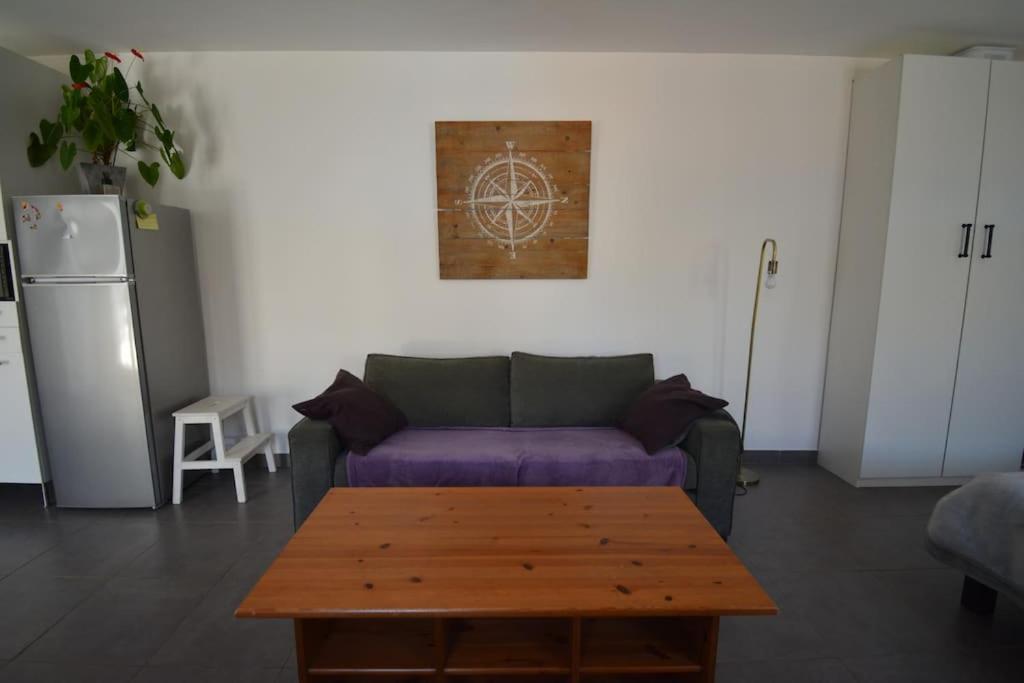 Grand Studio Independant Avec Jardin Goussainville  Exteriér fotografie